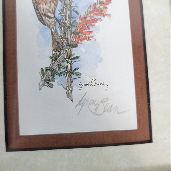 Signed framed lithograph House Finches by Lynn Beam - Picture 3 of 4